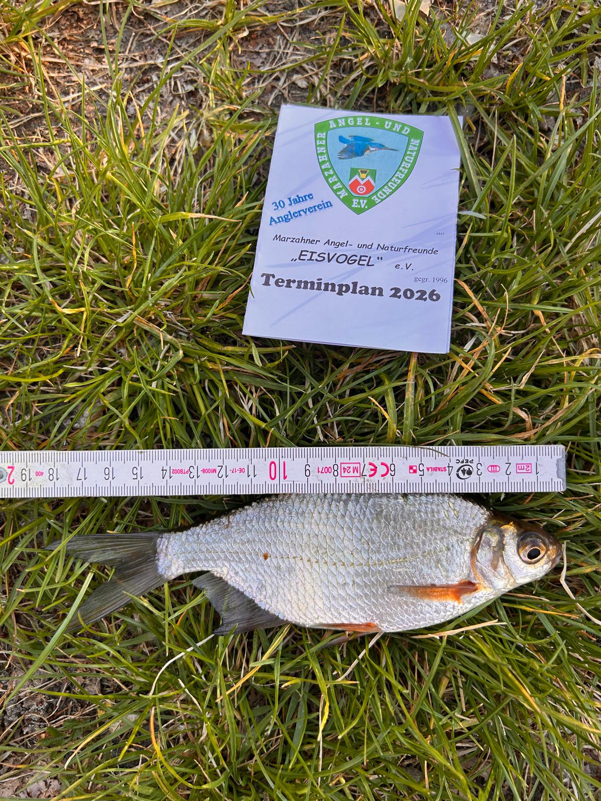 13 26 2026 05 03 Güster 18cm